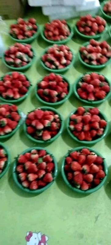 泗县红颜草莓