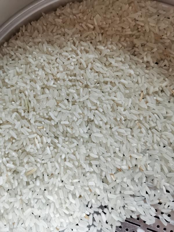 河南信阳优质长稻