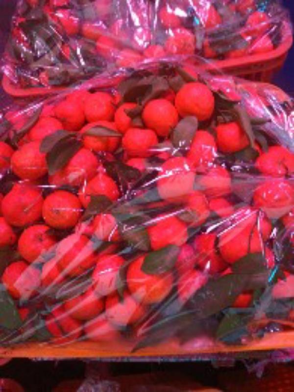 广西沙糖桔，广西沃柑新疆蒲萄，红提，四季鲜果。