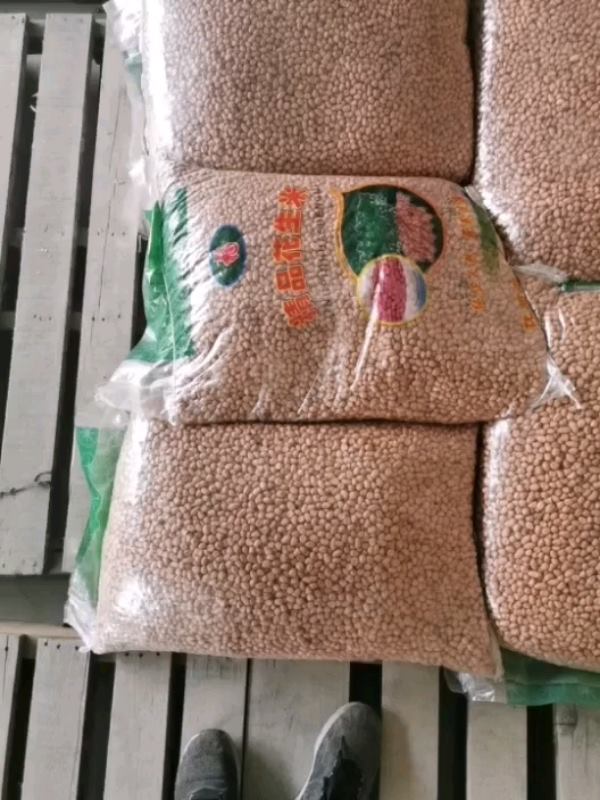 河南八个筛上精选白沙花生米颗粒饱满干度良好杂质少