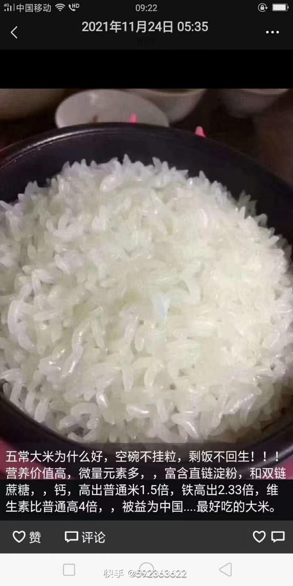 稻花香每斤10元