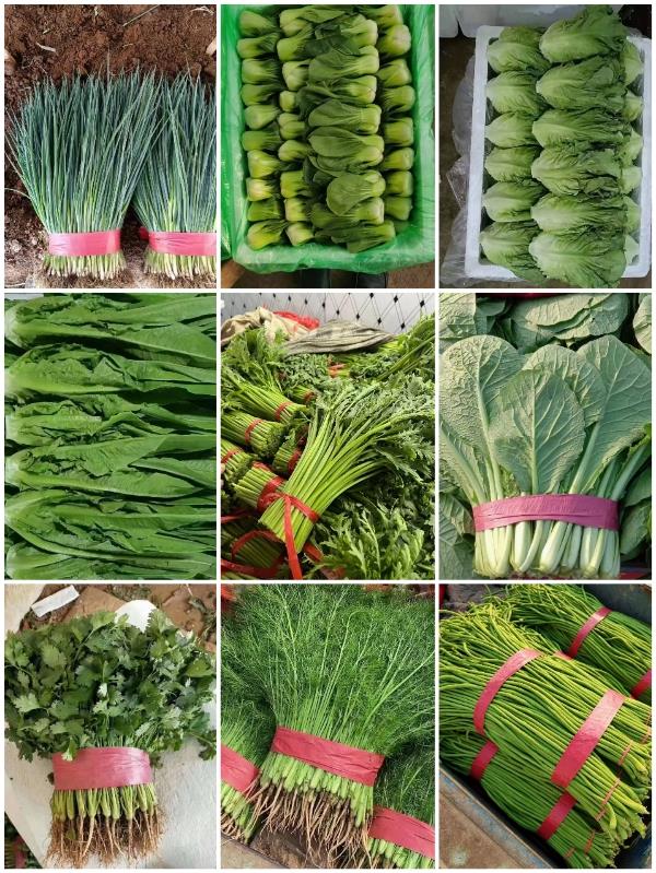 河北邯郸蔬菜水果批发市场