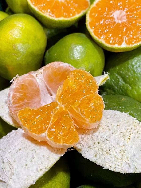 特早蜜橘产地大量批发，保质保量，一手货源