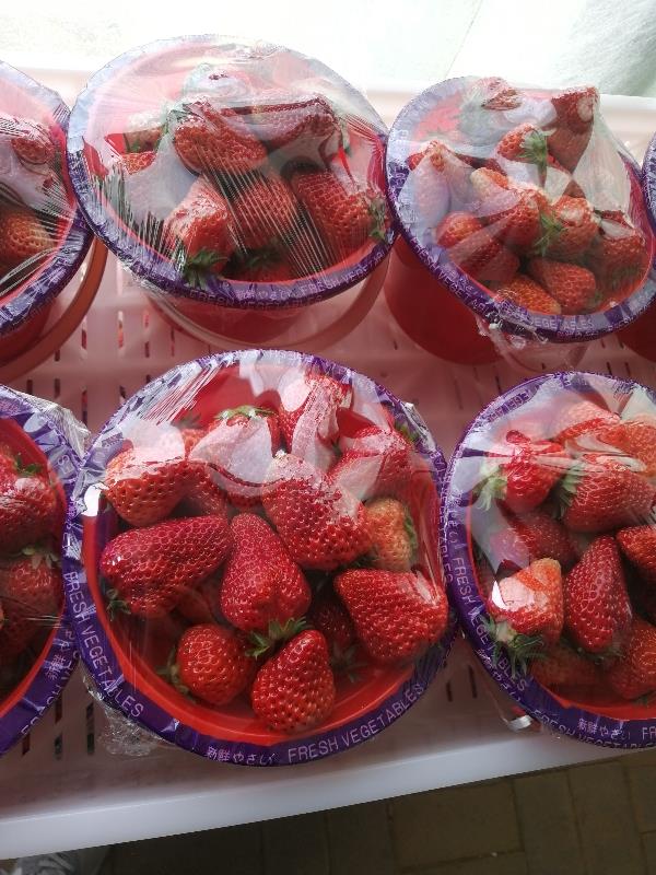 红颜九九草莓
