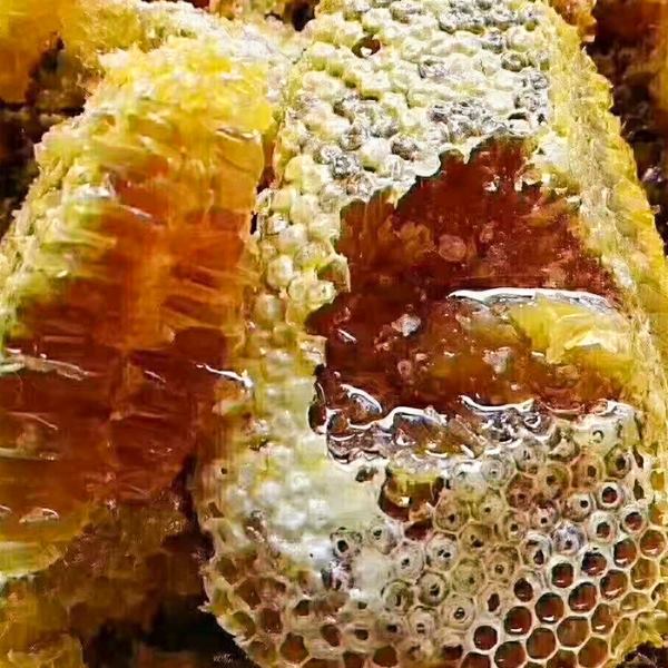 蜂蜜，批发零售！