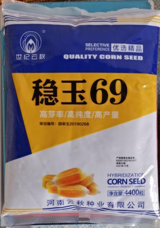 稳玉69玉米种子