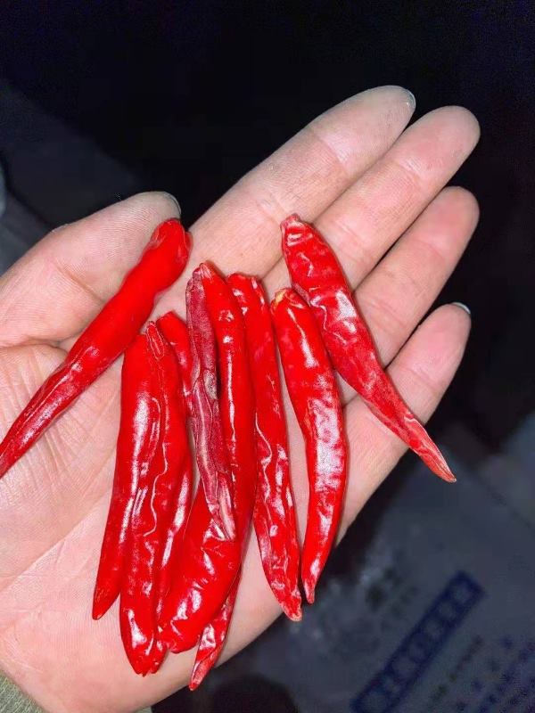 红小米，辣椒