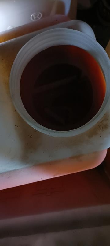 山茶油