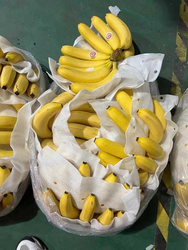 主营菲律宾进口香蕉 越南 柬埔寨 南美