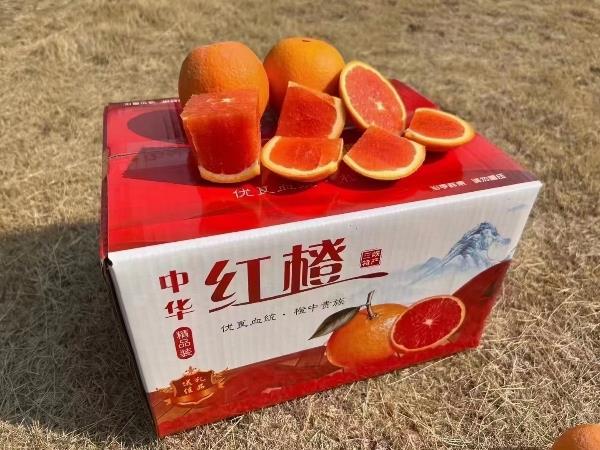 秭归中华红血橙，产地大量供应，价格便宜，